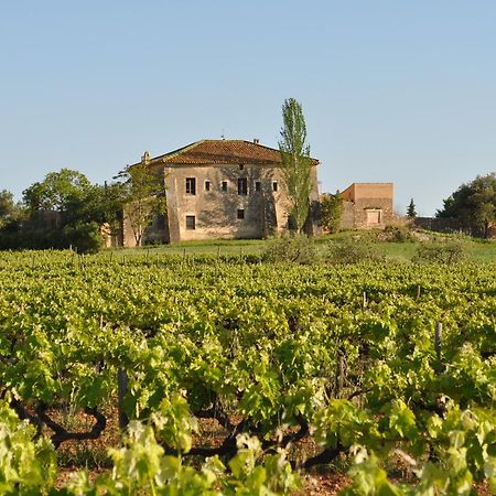Mas Castell De Gimenelles Hotel Sant Jaume dels Domenys Ngoại thất bức ảnh