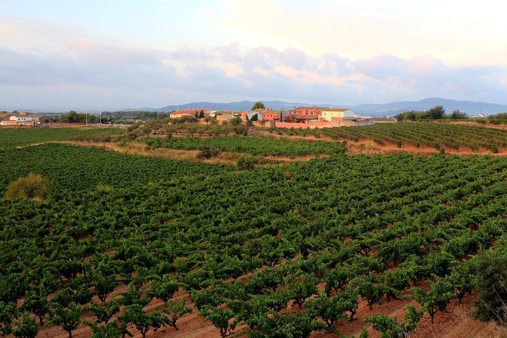 Mas Castell De Gimenelles Hotel Sant Jaume dels Domenys Ngoại thất bức ảnh