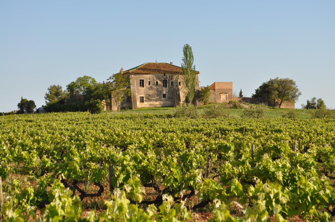 Mas Castell De Gimenelles Hotel Sant Jaume dels Domenys Ngoại thất bức ảnh