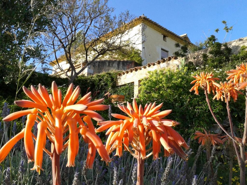 Mas Castell De Gimenelles Hotel Sant Jaume dels Domenys Ngoại thất bức ảnh