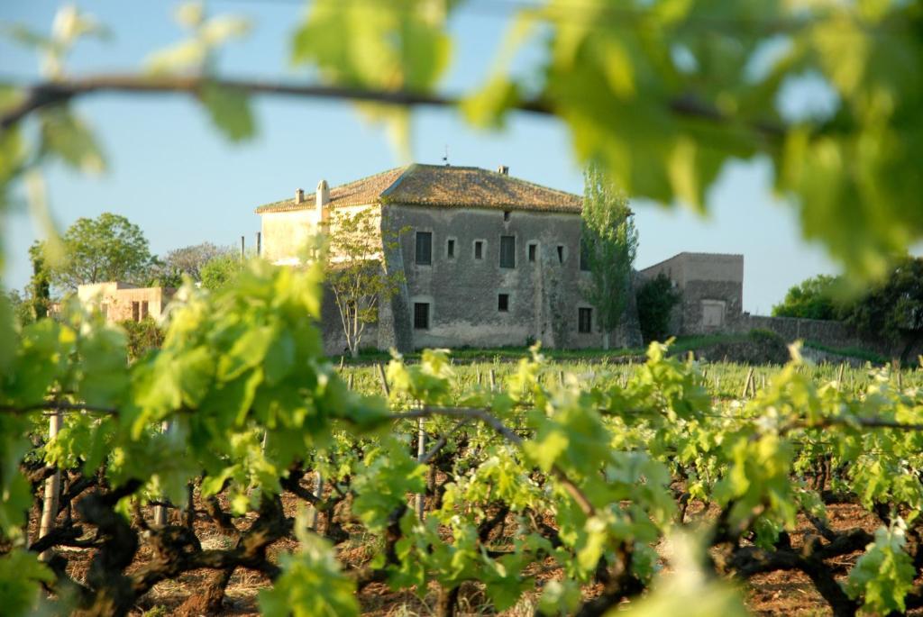 Mas Castell De Gimenelles Hotel Sant Jaume dels Domenys Ngoại thất bức ảnh