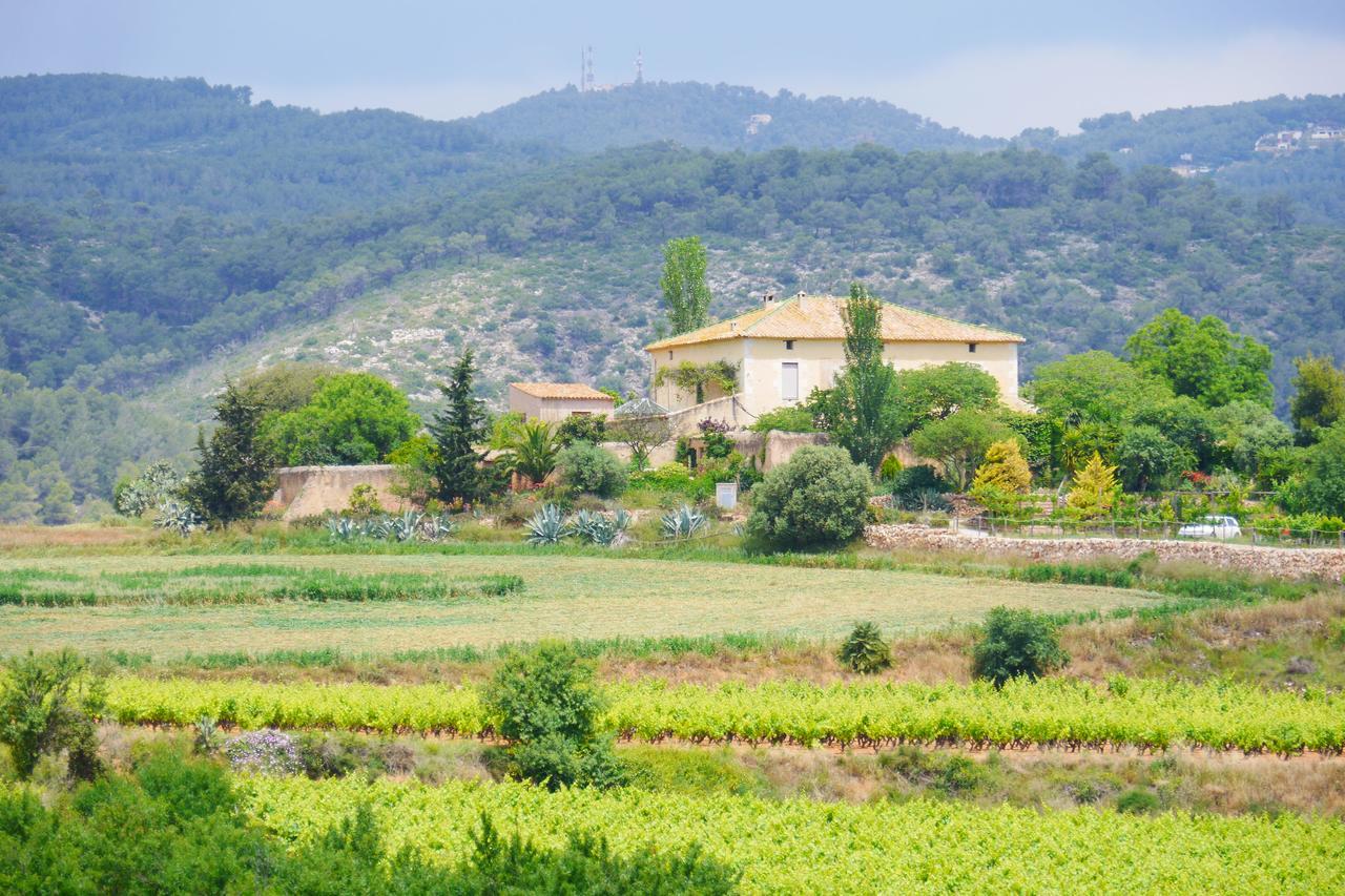Mas Castell De Gimenelles Hotel Sant Jaume dels Domenys Ngoại thất bức ảnh