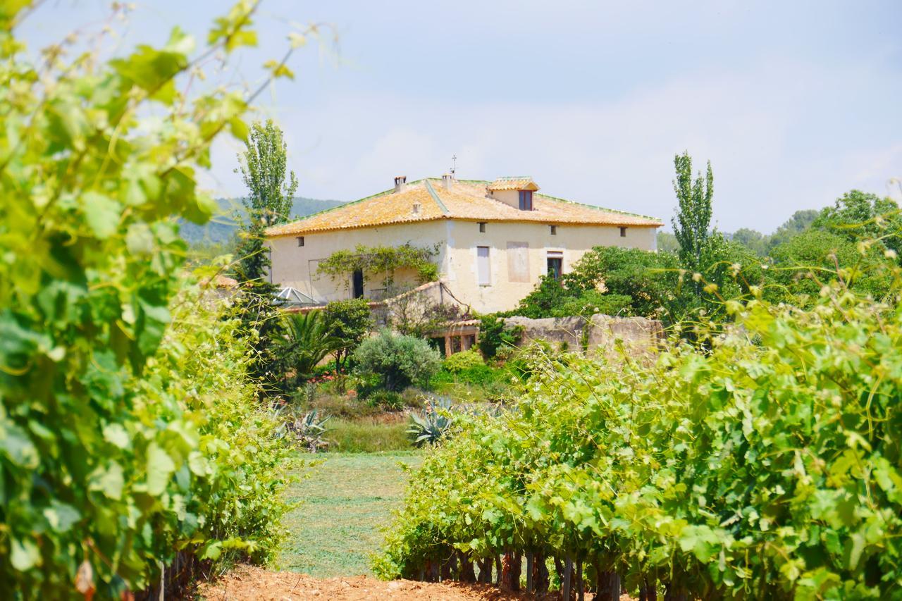 Mas Castell De Gimenelles Hotel Sant Jaume dels Domenys Ngoại thất bức ảnh