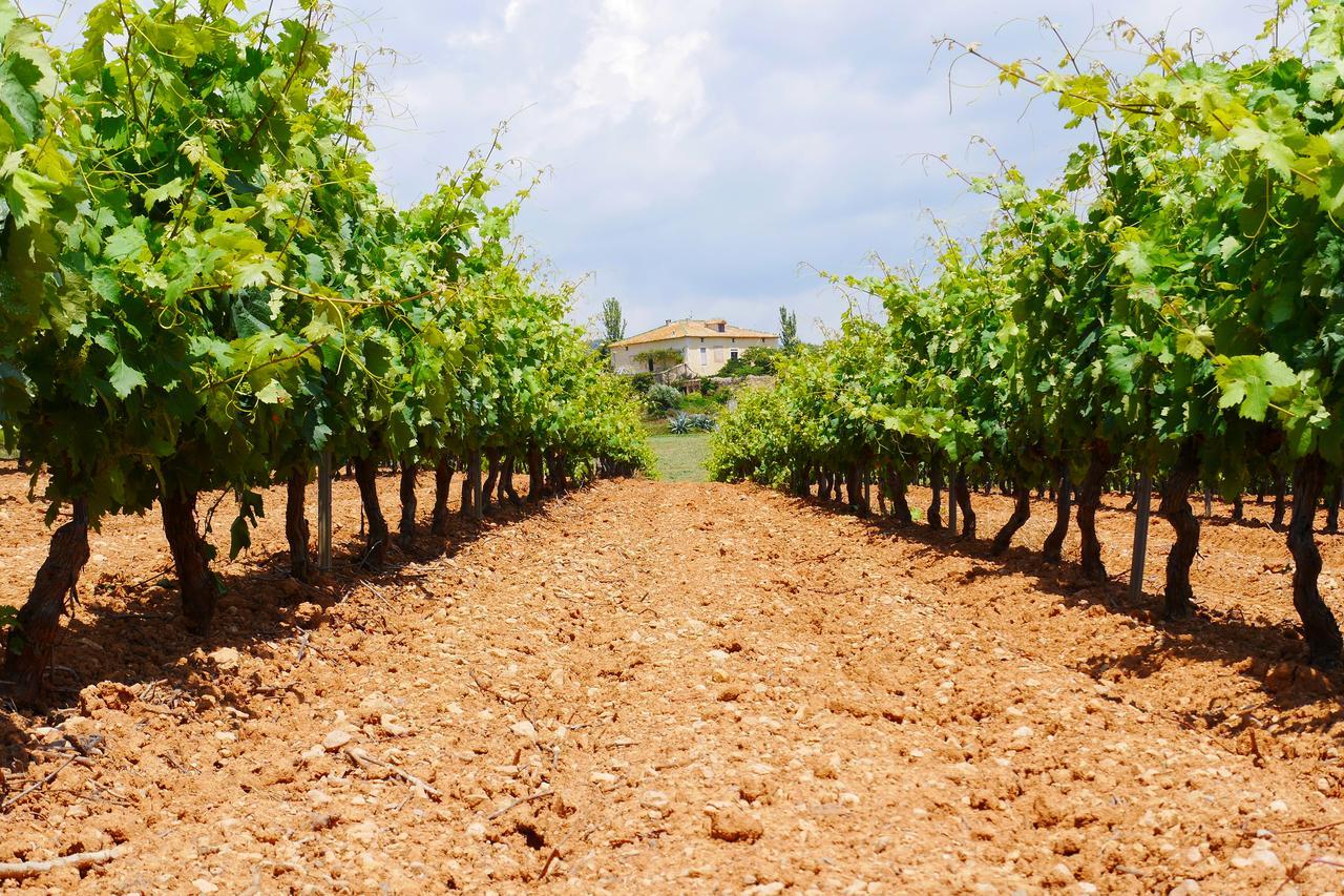 Mas Castell De Gimenelles Hotel Sant Jaume dels Domenys Ngoại thất bức ảnh
